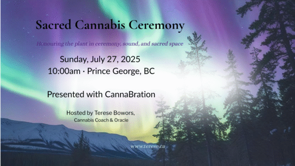 northern lights of prince george highlighting cannabration cannabis ceremony